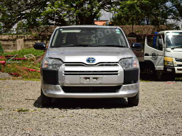 2019 Toyota Probox 1.5 Hybrid — photo 1 of 9