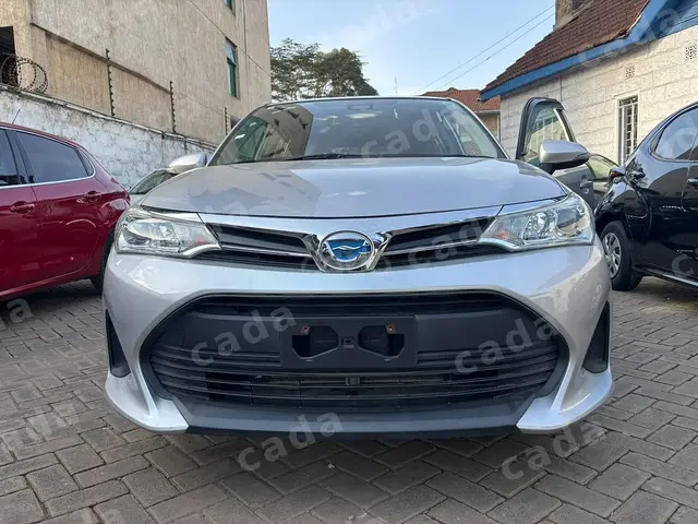 2019 Toyota Corolla Fielder 1.5 Hybrid