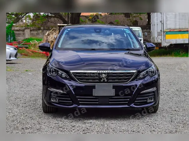 2019 Peugeot 308 BlueHDi