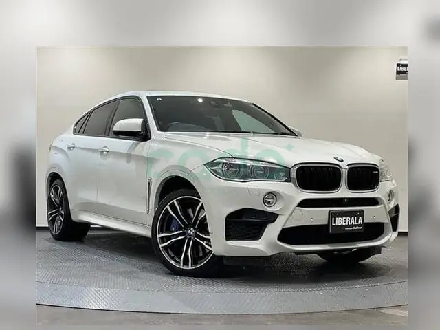 2019 BMW X6 M 4.4 V8 TwinPower Turbo xDrive — photo 1 of 13